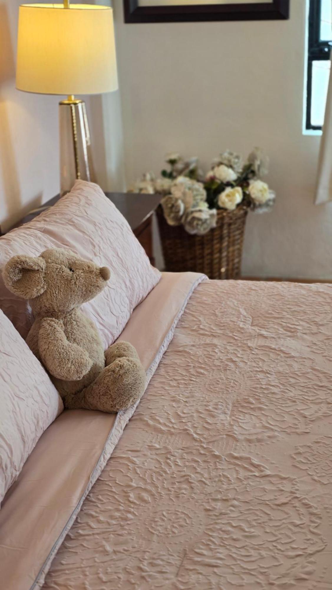 Tres Fuentes Dickinson Hotel Boutique サン・ミゲル・デ・アジェンデ エクステリア 写真